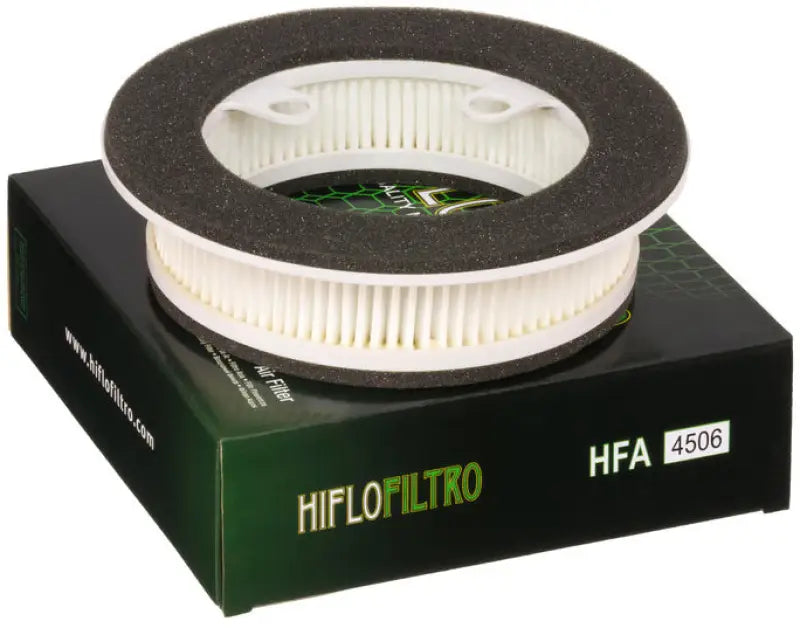 HFA4506 Air Filter wps-551-4506