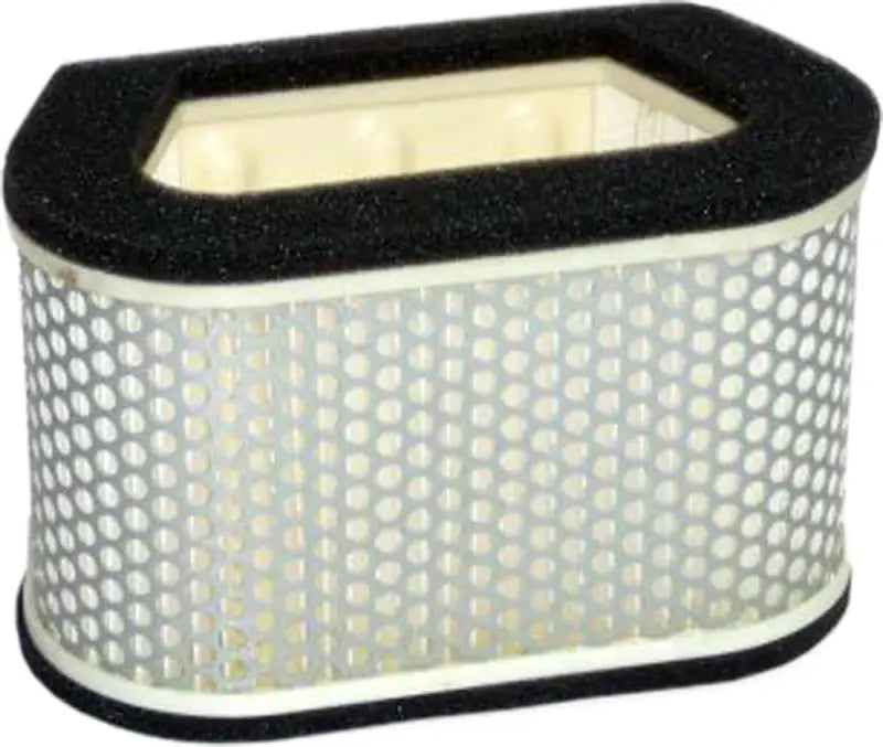 HFA4907 Air Filter wps-551-4907