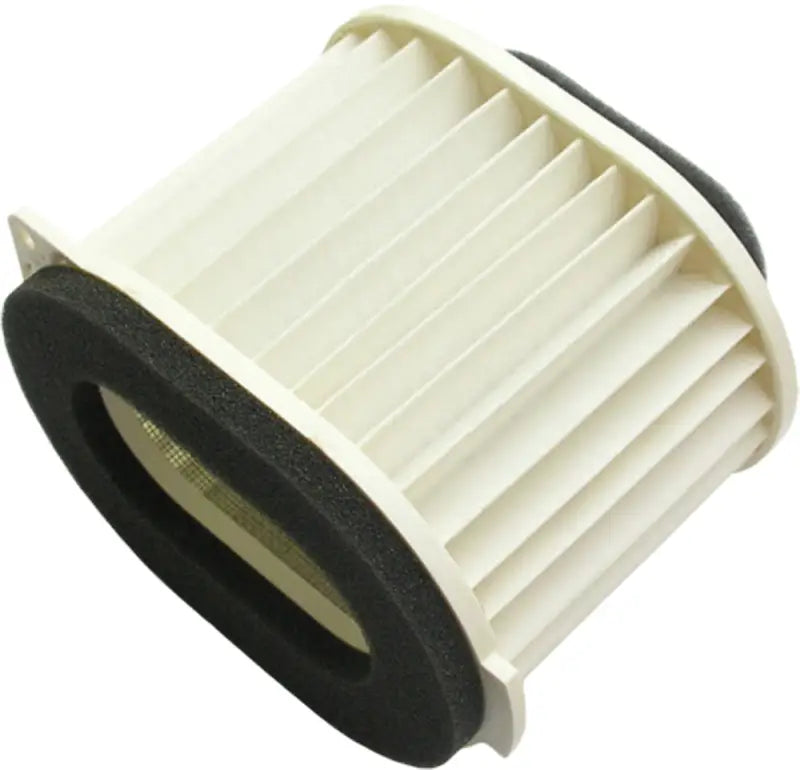 HFA4918 Air Filter wps-551-4918