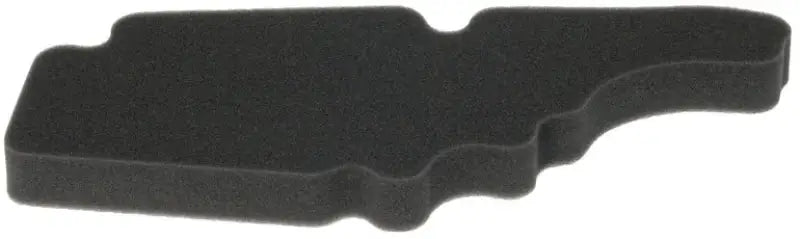 HFA5202DS Air Filter wps-551-5202