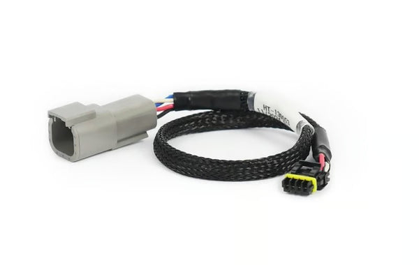 Haltech CAN Adaptor Loom DTM-4 to Molex Mizu-P25 - Suits Holley - HT-130053