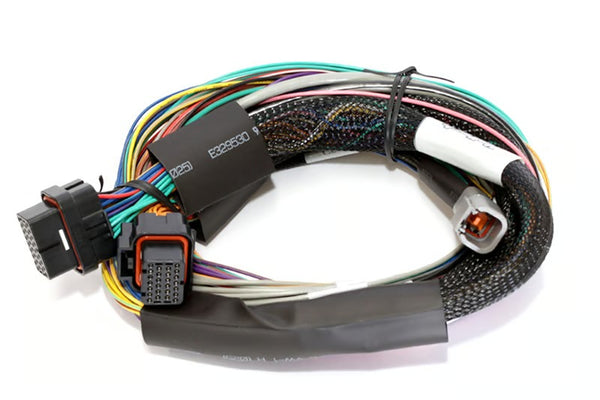 Haltech Elite 1500 Basic Universal Wire-in Harness Length: 2.5m (8') - HT-140902