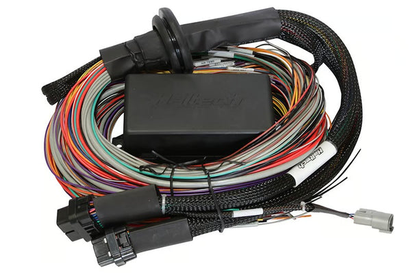 Haltech Elite 1500 Premium Universal Wire-in Harness Length: 2.5m (8') - HT-140904