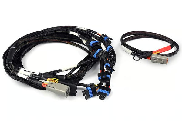 Haltech Nexus Universal V8 - IGN-1A Ford Harness - HT-186061