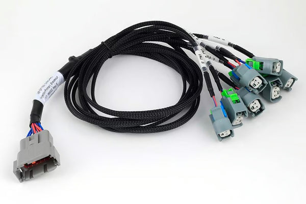 Haltech Nexus Universal V8 - GT150 (USCAR) Injector Primary Breakout - HT-186002