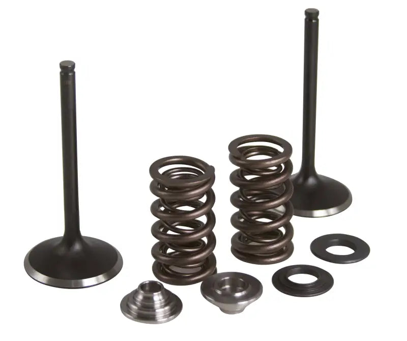 Intake Valve/Spring Kit Stainless Steel Yam 191-44006