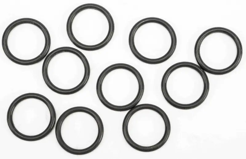 O Ring Oil Pump Plug 10/Pk wps-681-6109