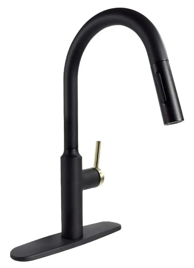 PF231780 Valterra Premium Slimline Faucet Black v46pf231780