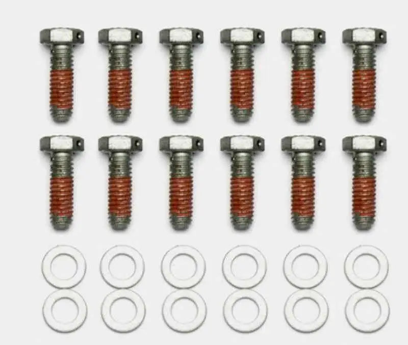 Wilwood Bolt Kit - 5/16-18 x 1.00 LG - 12 pk 230-14086